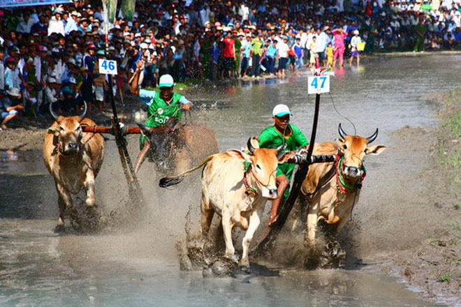 Nang_Hoi_dua_bo_Bay_Nui_len_tam_quoc_te