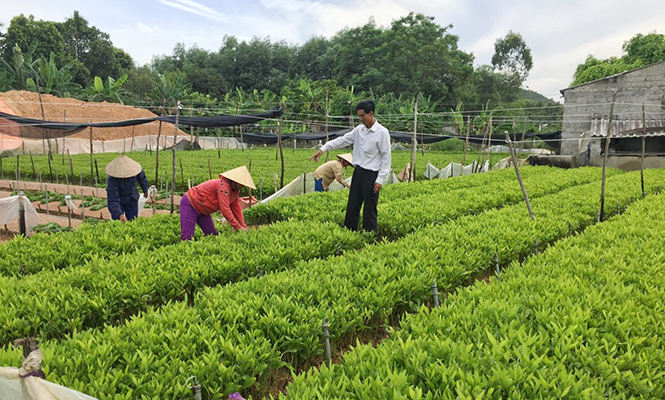 Tang_Bang_khen_cua_Chu_tich_UBND_tinh_Quang_Binh_cho_05_ca_nhan_co_thanh_tich_xuat_sac_trong_phong_trao_thi_dua_yeu_nuoc_cua_dong_bao_Cong_giao__giai_doan_2015___2020