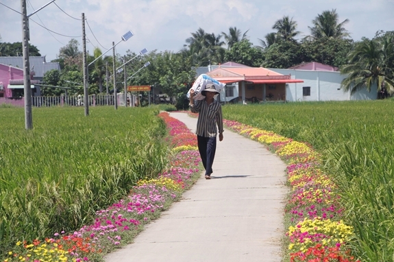 soc-trang-phat-huy-gia-tri-van-hoa-phat-giao-nam-tong-trong-bao-ve-moi-truong