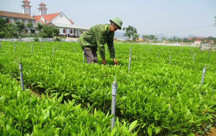 cac-ton-giao-o-quang-binh-chung-tay-xay-dung-que-huong