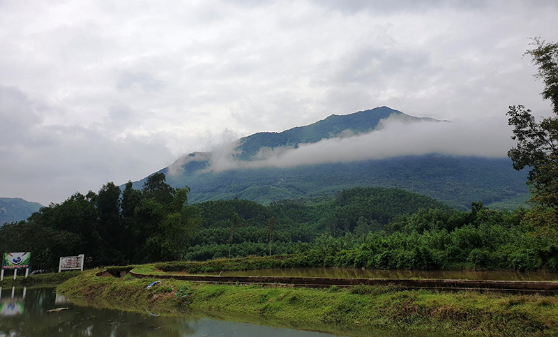 trung-tu-di-tich-lich-su-cap-quoc-gia-hon-tau